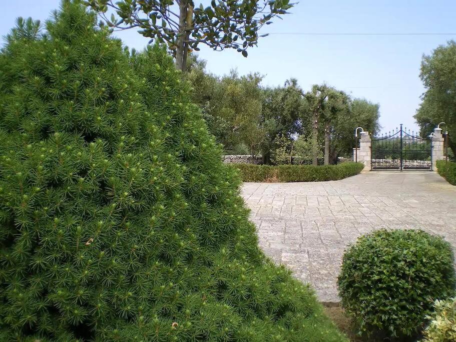 Trulli Giulivi Villa Locorotondo Exteriör bild